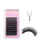 Y Eyelash Extensions D Curl .07mm 2D Fan - Soft YY Type 12mm Volume Lashes - Emeda 1 Pack - Buy Online on GoSupps.com