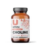 UMZU Choline Supplement for Cognitive & Hormonal Support - 30 Day Supply (90 Capsules) - Buy Online on GoSupps.com