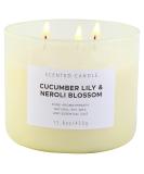 Cucumber Lily of The Valley & Neroli Blossom 3 Wick Candle | 15.8 oz Luxury Spa & Aromatherapy Candle | Fresh Scented Candles for Home | Natural Soy | Stress Relief - Buy Online on GoSupps.com