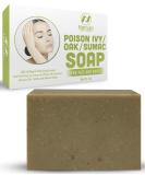 Natrulo Poison Ivy Soap Bar - Natural Treatment for Poison Ivy, Oak & Sumac - Anti-Itch Skin Cleanser - Soothes Rashes - Made in USA - 4 oz - Buy Online on GoSupps.com
