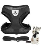 Yeesabella S Cat Harness and Lead Set Adjustable Cat Harness Escape Proof Cat Kitten Harness for Walking Breathable Cat Harness for Small Cats Pets with Leash Set - Buy Online on GoSupps.com