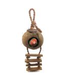 SunGrow Coconut Bird House with Ladder - Mini Avian Condo with Hanging Loop - Buy Online on GoSupps.com