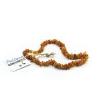 PetLove 100% Baltic Amber Dog Necklace | Collar for Dogs & Cats - 50cm - Buy Online on GoSupps.com