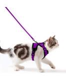 Breakproof Cat Leash Set & Adjustable Soft Vest for Kittens - Reflective Stripes & Purple Dishes (Small) - Buy Online on GoSupps.com