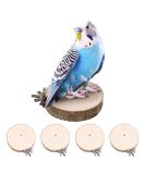 ALTcompluser 4 Pack Bird Perch Stand Platform Toy Parrots Cage Toys Round Wooden Springboard for Budgie Cockatiels Finches Small Parakeets Bird Toys - Buy Online on GoSupps.com