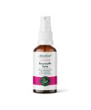 Bitter Power! Alcohol-Free Herbal Spray - High-Dose Bitter Drops with 9 Exquisite Bitter Herbs - 100% Natural & Vegan - Shop Internationally - Buy Online on GoSupps.com