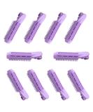 Shop Bontannd 10-Piece Volumizing Hair Root Clips - Natural Fluffy Hairpin Volumizer for Women's Hairstyles & DIY Curls - Buy Online on GoSupps.com