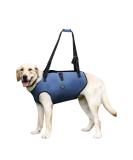 Coodeo Dog Harness - Adjustable Padded Support Belt for Pets | Lifting & Rehabilitation | Breathable Design for Older & Disabled Dogs | XXL Blue - Buy Online on GoSupps.com