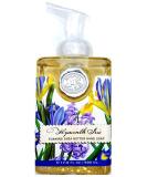 Michel Design Works Hyacinth Iris Foaming Shea Butter Hand Soap 17.8 Fl Oz - Pack of 1 - Buy Online on GoSupps.com