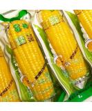 Delicious yellow glutinous corn stick sweet corn fresh corn vegetable snacks nutritious breakfast Coarse grains cereal Dim sum dessert sweets Chinese snack gift pack convenience food (8 bags) - Buy Online on GoSupps.com