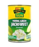 Tropical Sun Young Green Jackfruit in Water 400g 400 g (Pack of 1) - Buy Online on GoSupps.com