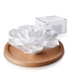 Passive diffuser for essential oils aromatherapy passive mini ceramics essential oil small diffuser for desk office at home gift (roses) - Buy Online on GoSupps.com