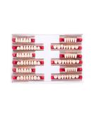 84PCS Halloween Horror Dental Synthetic Resin Teeth Denture A2 Upper Lower False Tooth Set - Buy Online on GoSupps.com