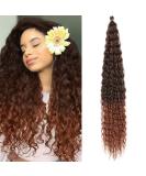 Buy DSoar 30 inches Deep Twist Crochet Hair - 3 Packs Ocean Wave Curly Braids | Synthetic Hair Extensions for Women & Girls - Buy Online on GoSupps.com