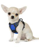 Buy Eagloo Anti-Train Dog Harness for Small Dogs - Adjustable Durable Reflective Strips for Walking & Jogging - XS Blue (1 Pack) - Buy Online on GoSupps.com
