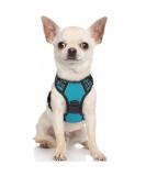 Rabbitgoo No Pull Dog Harness for Small Dogs - Adjustable Breathable Safe Blue-Green XS (1 Pack) - Perfect for Training & Cuddling - Buy Online on GoSupps.com