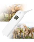 Fast Digital Veterinary Thermometer for Livestock | Anus Thermometer for Pigs, Cattle, Sheep & Pets - Buy Online on GoSupps.com