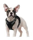 Rabbitgoo Small Dog Harness - Adjustable Tactical Harness with Metal Buckles Anti-Train Design Durable & Wear-Resistant for Hiking (S Black) - 1 Pack - Buy Online on GoSupps.com