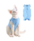 Yoolhamy Katzenbody - After Op Recovery Suit for Cats | Anti-Loss E-Collar Alternative for Abdominal Wounds | Small Blue - Buy Online on GoSupps.com