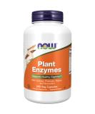 Now Foods Plant Enzymes - 240 Veg Capsules for Digestive Health | Natural Enzyme Supplement - Buy Online on GoSupps.com