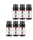 Buy 6-Pack Cherry Essential Oil | 100% Pure Organic Aroma Oil for Diffuser (6X10ml) - International Shipping Available - Buy Online on GoSupps.com