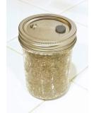 BRF PF Tek Brown Rice Flour Mushroom Substrate - 1/2 Pint Jar - Buy Online on GoSupps.com