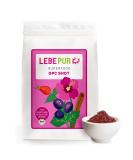 Lebepur Bio OPC Shot Pulver 500g - grape base flour with 500mg OPC per portion - from French Chardonnay grape seeds for smoothies shakes or muesli - Buy Online on GoSupps.com