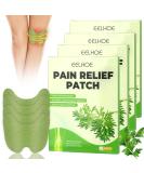 CLIUNT 40pcs Pain Relief Patches for Arthritis - Knee & Muscle Soreness Relief - Buy Online on GoSupps.com