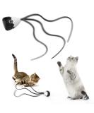 Cat Wand Toy: 2-in-1 Automatic Silicone Tail Teaser for Indoor Cats - Rechargeable & Interactive Electronic Exercise Toy (Black) - Buy Online on GoSupps.com