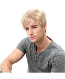 STfantasy Men's Blonde Short Straight Layered Wig - Two-tone Mixed Cosplay Wig for International Shipping - Buy Online on GoSupps.com