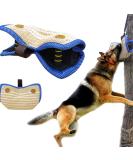 Bite Board Dog Training Equipment Protective Sleeve Arm Protector For Left Right Hand Teething Cushion Training Young Dog Medium Size Dog Training Supplies Bite Cushion Arm Protection Dog Sports Toy - Buy Online on GoSupps.com