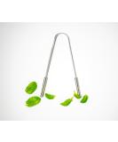 Metal Tongue Scraper - Stainless Steel Tongue Cleaner Tool for Fresh Breath- U-Shaped Travel Tongue Scraper with Flexible Design (1 Pack U-Shape Scraper) - Buy Online on GoSupps.com