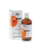 Buy Margan Colibiogen Oral 100 ml - Fast International Shipping & Best Prices - Buy Online on GoSupps.com