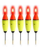 QualyQualy 5Pcs 10g EVA Foam Glowing Bobbers Fishing Floats + 10 Pcs Fishing Glow Sticks, Long Vertical Luminous Glow Fishing Floats Bobbers Set LED Bobbers 20g - Buy Online on GoSupps.com