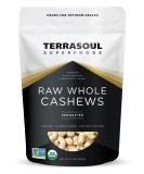 Terrasoul Superfoods Organic Raw Whole Cashews 32 oz.2lb buttery 2 Pound (Pack of 1) - Buy Online on GoSupps.com