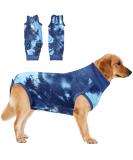 Recreational Suit for Dogs | Wound Protection for Puppies & Post-Op Recovery | Prevent Licking for Small Medium & Large Dogs - Buy Online on GoSupps.com