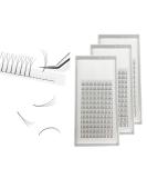 Natural Soft False Eyelash Extensions - 3D Premade Volume Lashes C & D Curl 0.10mm Thickness 8-15mm Length - Oxy Black Very Soft (9mm 3 Pack) - Buy Online on GoSupps.com