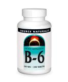 Source Naturals B-6 100mg - 250 Tablets | Premium Vitamin B6 Supplement - Buy Online on GoSupps.com