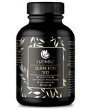 Quercetin 500mg Vegan Capsules - High-Dose 120 Count - Premium Japanese Extract - Lab Tested Additive-Free - Buy Online on GoSupps.com