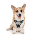 Rabbitgoo Adjustable No-Pull Dog Harness for Medium Dogs - Breathable Control Vest with Reflective Stripes - Safe Gray Harness for Large Dogs - 1 Pack - Buy Online on GoSupps.com