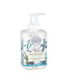 Michel Design Works Ocean Tide Foaming Hand Soap - Buy Online on GoSupps.com