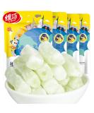 Winter melon candy250g/8.81oz Guangdong old-fashioned rock sugar winter melon strips preserved fruit casual snacks gummies fruit and vegetable candies Dried fruits traditional snacks (2bag) - Buy Online on GoSupps.com