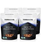 Terrasoul Superfoods Organic Sun-Dried White Mulberries 4 Lbs (4 Pack) - Low Glycemic & Vitamin C-Rich - Buy Online on GoSupps.com