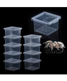 10 Pcs Small Acrylic Insect Spider Terrariums Breeding Box - Ideal for Small Reptiles, Scorpions, and Centipedes - Buy Online on GoSupps.com