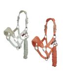 LeMieux Mini Vogue Headcollar In Fern Or Apricot IT04191/2 Mini Fern - Buy Online on GoSupps.com