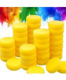 Laniakea 50 Pack 2.9 Inch Synthetic Paint Sponges - Watercolor Round Yellow Sponges for Art Crafts and Pottery - Buy Online on GoSupps.com