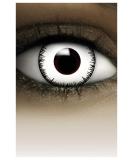 Buy FXCONTACTS White Vampire Colored Contact Lenses - Halloween Cosplay Prescription 1.00 Diopters - 2 Pieces (1 Pair) for Carnival & Events - Buy Online on GoSupps.com
