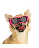 Namsan Dog Glasses for Small Dogs - UV Protection Sunglasses with Adjustable Band | Windproof Pink Motorcycle Glasses - Buy Online on GoSupps.com