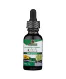 Nature's Answer Alcohol-Free Alfalfa Extract 1oz - Boost Immunity, Digestion & Detox - Buy Online on GoSupps.com