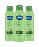 Vaseline Intensive Care Aloe Soothe Moisturising Lotion - Pack of 3 (3 x 190 ml) | Hydrating Skin Care for All Skin Types | International Shipping Available - Buy Online on GoSupps.com